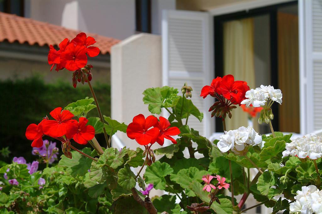 Sunbay Apartments Pyla Exterior photo